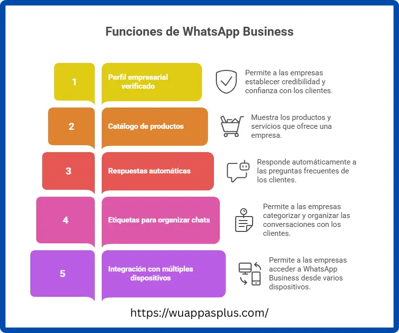 WhatsApp Plus vs WhatsApp Business